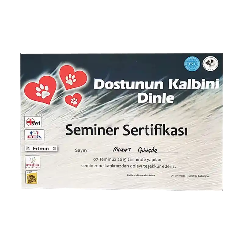 Müşteri Logosu