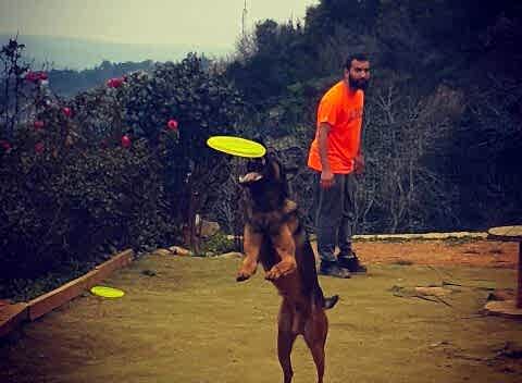 İstanbul Köpek Eğitim Merkezi En İyi Köpek Eğitim Merkezi Murat GÜNGÖR